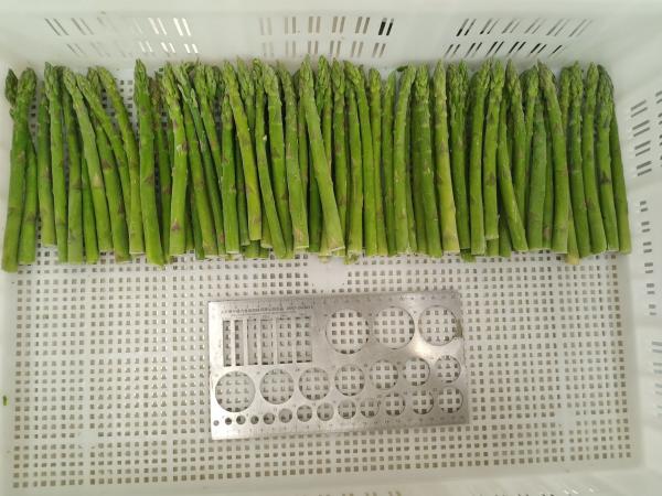 Obtenez le meilleur légume congelé pour vos besoins commerciaux