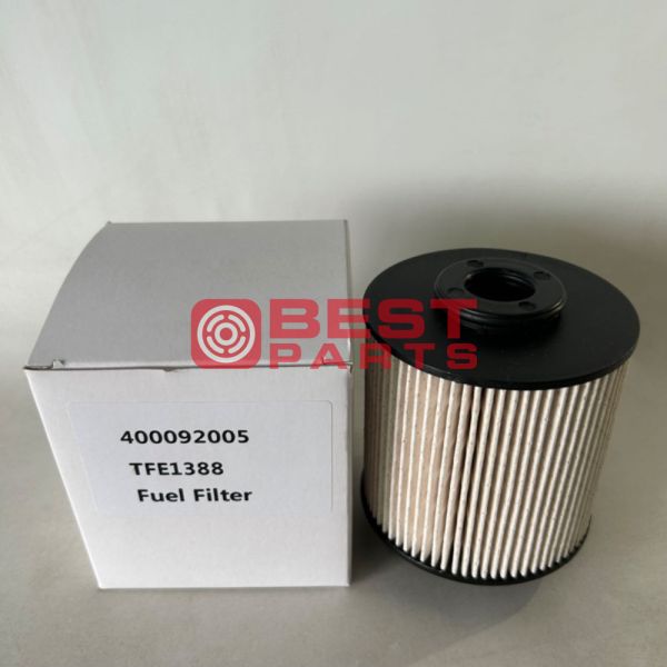 100% Professional Tested Excavator Fuel Filter 40009205 for Construction Equipment