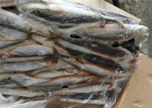 Decapterus Muroaji 76g 77g em volta da isca de pesca congelada do Scad