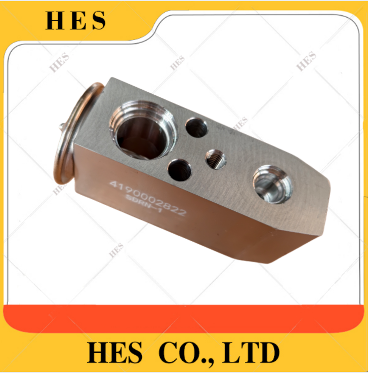 4190002822 Expansion Valve