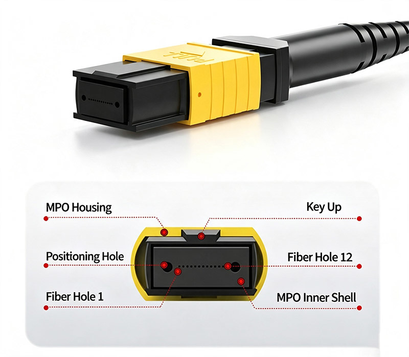 FTTH SM MTP 40/100/200G MPO-FC 8Cores OS2/G652D Fan-out Fiber Jumper