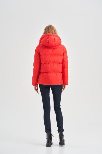 FODARLLOY 2022 Autumn and winter New style Women's Short Zipper Cotton-padded Jacket With Hooded