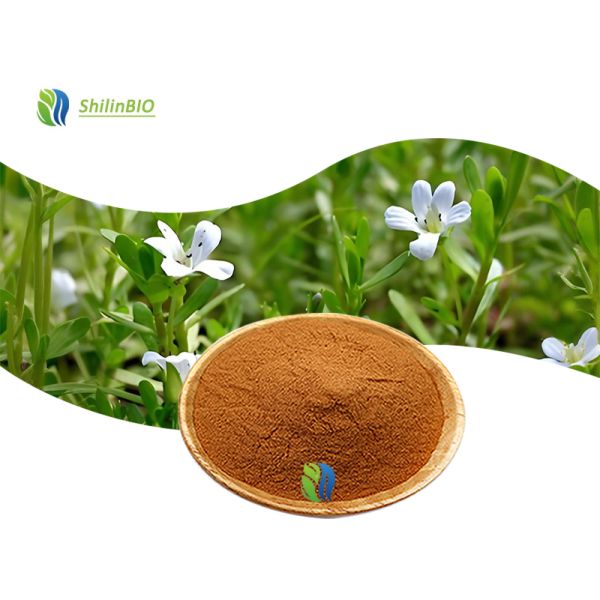 High Quality Bacopa Monnieri Extract 50% Bacopasides Powder