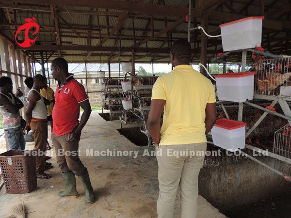 Тип 3 ярусы наслаивает звезду птиц 450cm2 клеток батареи 120 цыпленка