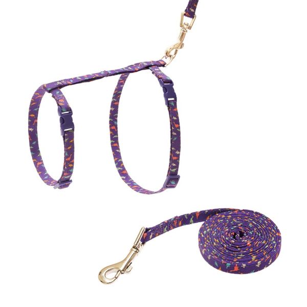 Воротник проводки кота с поводком установил - фасонируйте дизайн с прочной пряжкой крепежной детали и быстрого выпуска