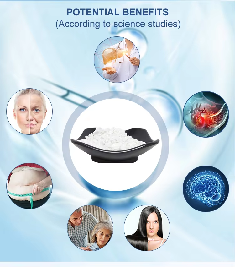 Белый спермидин порошок 334-50-9 Митоспермидин гигроскопический и чувствительный к воздуху