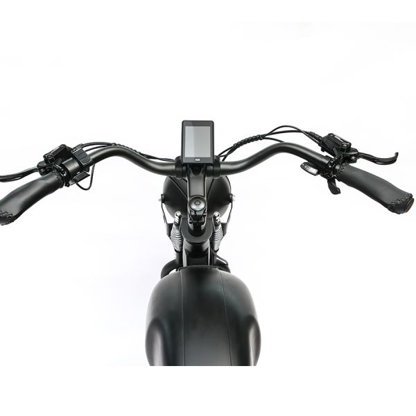 Long Range 48V 750W Rear Hub Motor Electric Motorbike with 48V 20Ah Lithium Battery