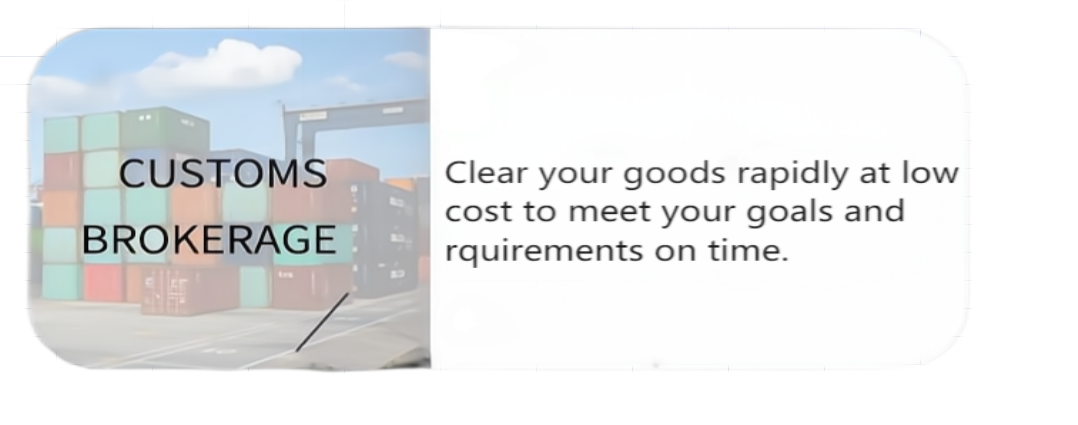 Cosco EMC OOCL Customs Clearance And Brokerage From China To The United States