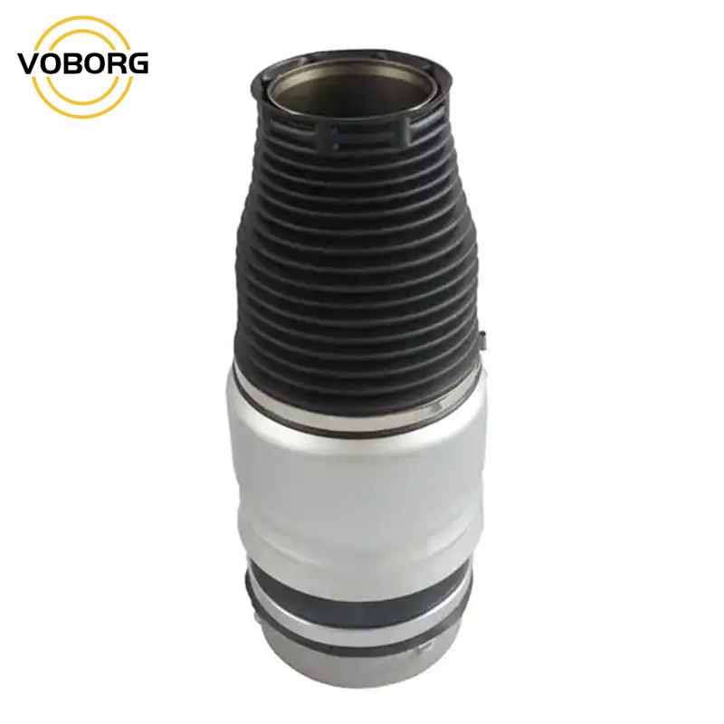 Premium Quality Auto Replacement Parts OE 95B616039 Parts Air Shock Absorbers for Porsche