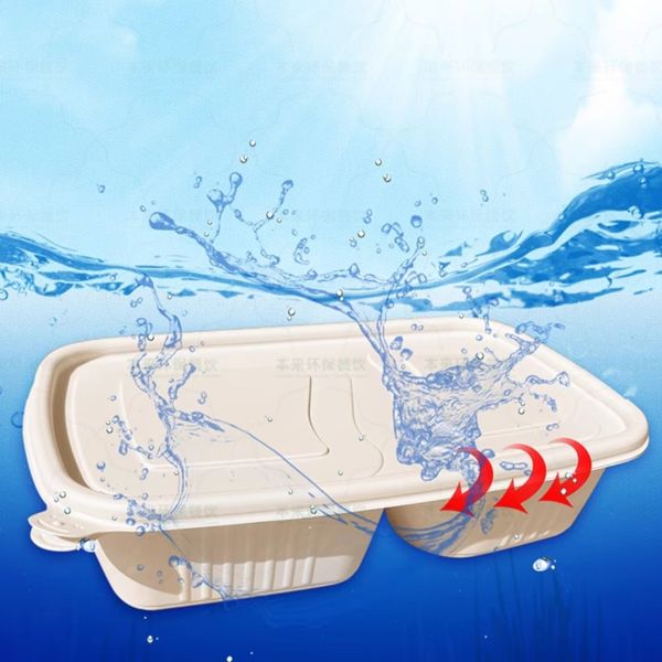 Almuerzo Eco Amigable Cuencos Desechables Microondas Para llevar al restaurante