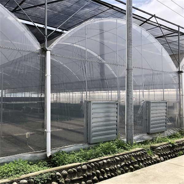 As calhas altas do túnel arejam estufa do período da circulação a multi para o crescimento de flores