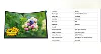 55 Inch Flexible AMOLED Display 1920x1080 MIPI 400cd/M² For Curved TVs