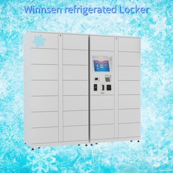 Winnsen Refrigerated умный подгонянный плод шкафчика еды
