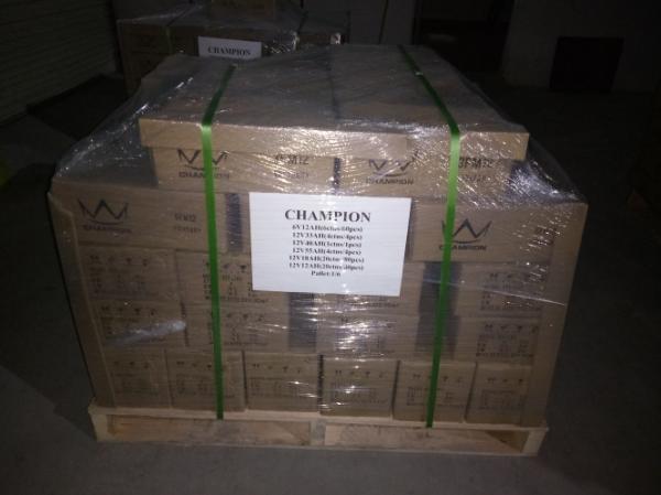 6FM28L modelam a bateria 12v 28ah da longa vida VRLA para UPS e inversor e segurança