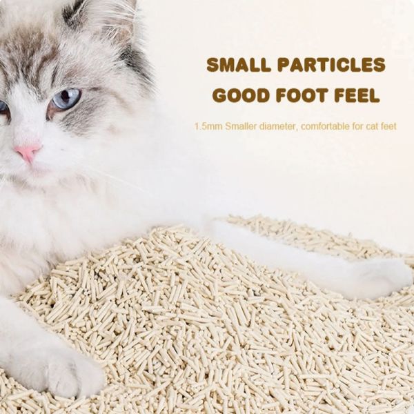 Plant-Based Tofu Cat Litter 6L Adult Kitten Dust Free Absorbent Flushable Pet Products