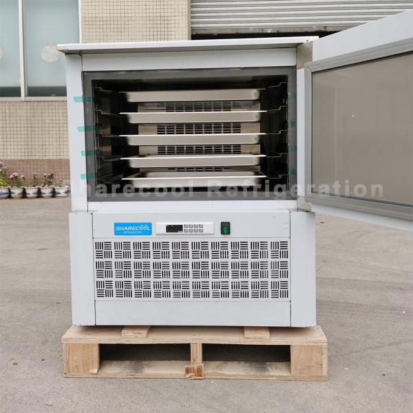 Minus 32 Degree Commercial Blast Freezer 725x795x865mm 90L For Beef