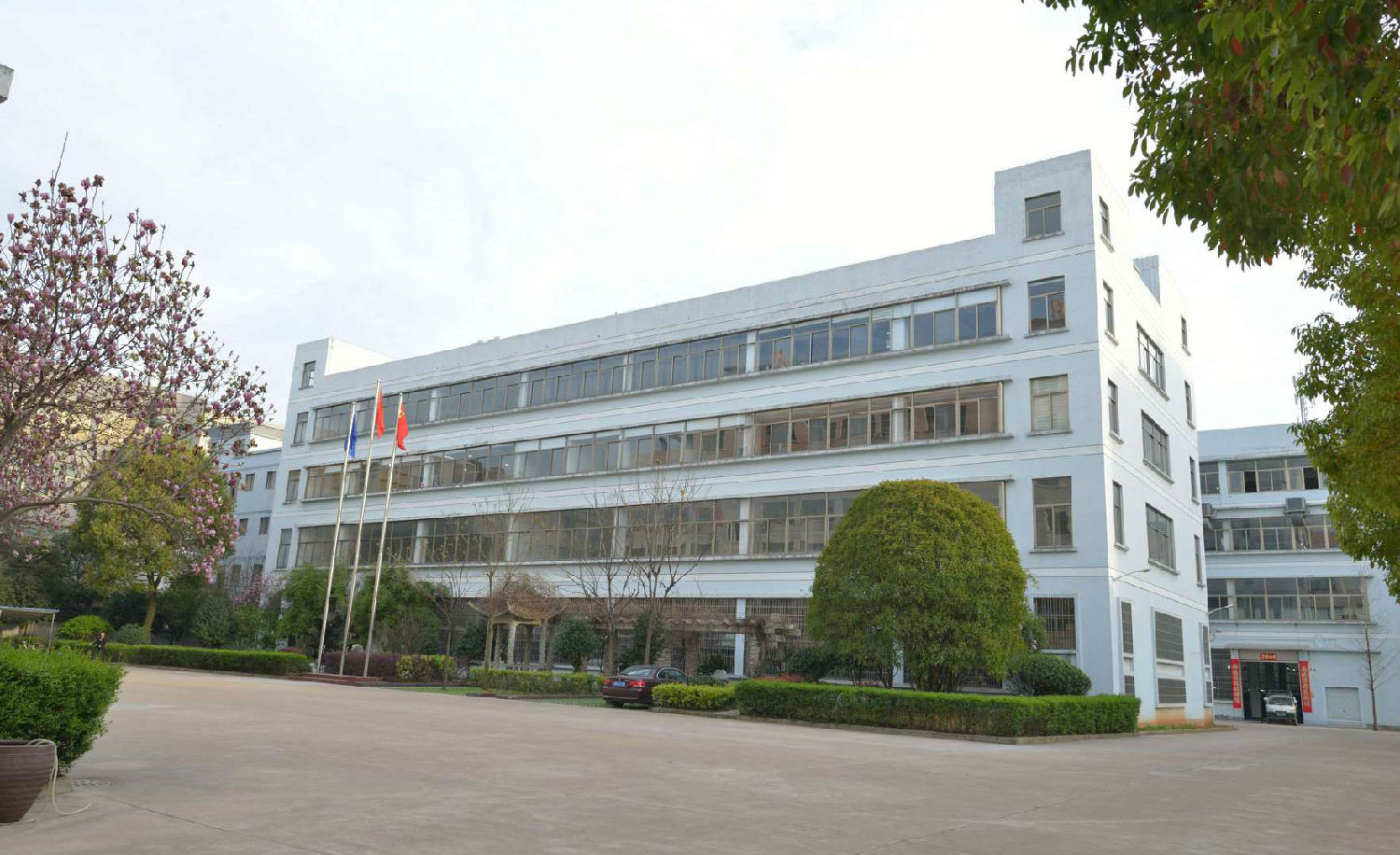 Главный материал Фильт 2023 Аллигатор-Узор ПУ Кожа Кроссбоди Hobo Сумка для женщин