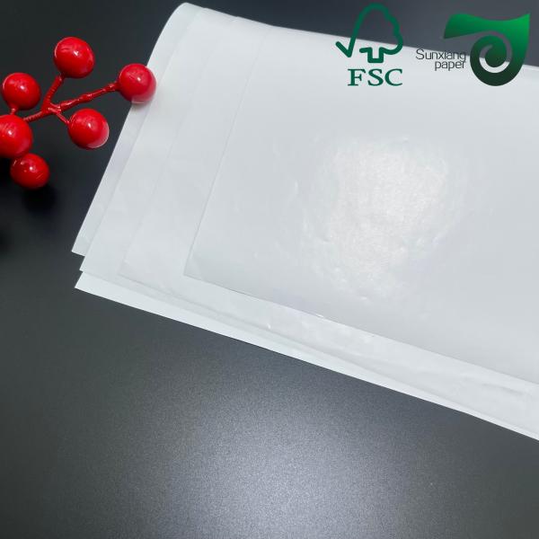 Papier revêtu de couche brillante à une face pour l'impression professionnelle