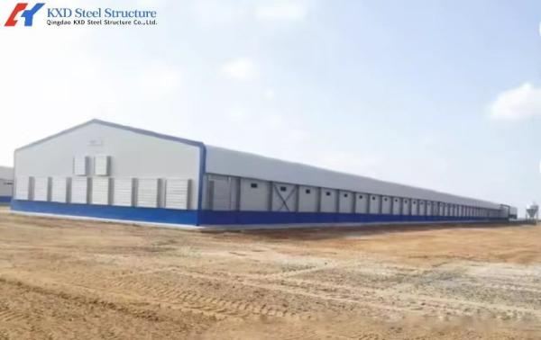 Prefabricated Steel Structure Chicken Farm House for Poultry Breeding