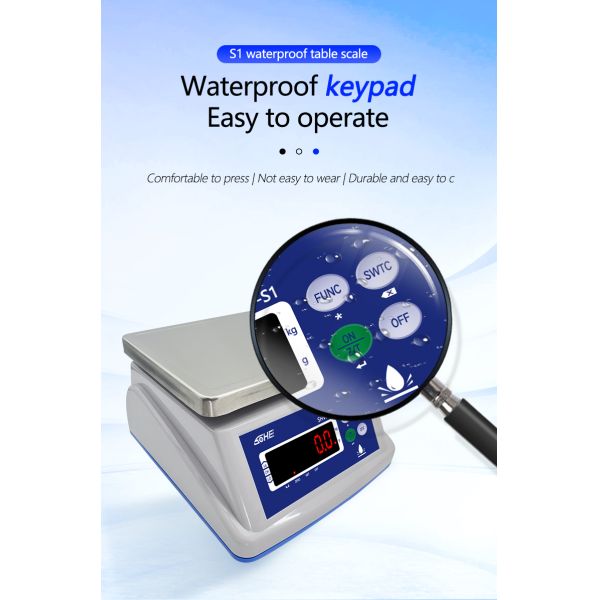 Battery 6V/5Ah 30KG Waterproof Scale with Double Layer Structure and Precision Sensor