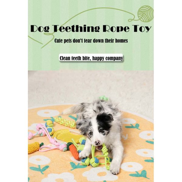 Dog Puppy Rope Chew Toys Set Cotton Rope Interactive Toy for Small Medium Large Dogs