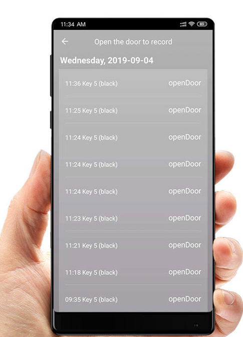 GB16796 DC 4.5V Wi-Fi Bluetooth Smart Lock Core с ключом