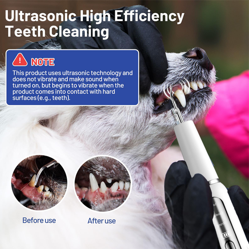 Máquina de ultrasonido de limpieza de dientes de perro de 240V USB Limpiador de dientes de ultrasonido para perros