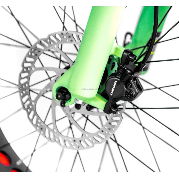 20inch Suspension CE OEM 48V 34AH 1000W 8FUN MOTOR CHINESE DUAL BATTERY ELECTRIC BIKE
