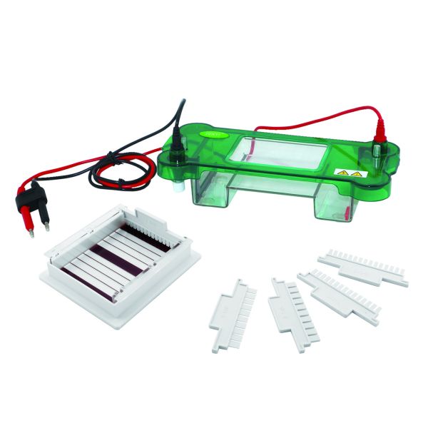 Horizontal Agarose Gel Electrophoresis Equipment 78×100mm Gel Size Jy-spbt