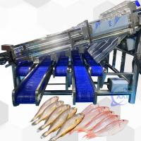 18pcs Rouleau SS304 Petite machine de tri du poisson Petite ligne de tri du poisson