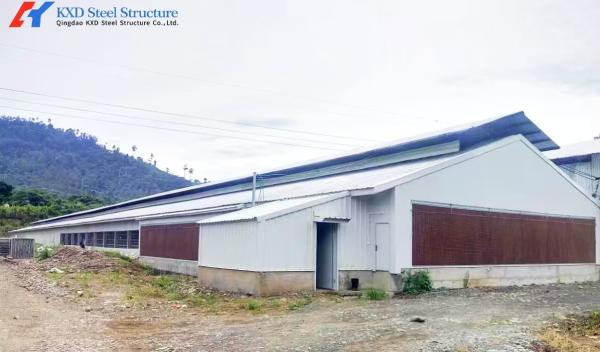 Fully Automatic Galvanized Poultry Farm Layer Cage with Feeding System