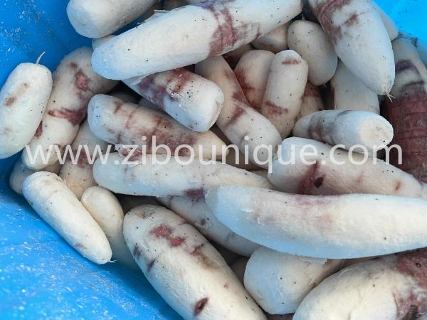 Cassava Peeler Machine for Continuous Root Vegetable Peeling Line in Large Food Shop