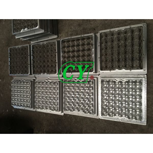 Die Casting Paper Pulp Mold 30 Cavity Paper Pulp Moulded Trays