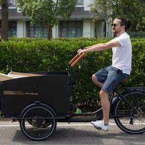 New 250W 25km/H Entry-Level Heavy-Duty Reliable Durable Steel Frame Cargo Bike Starter