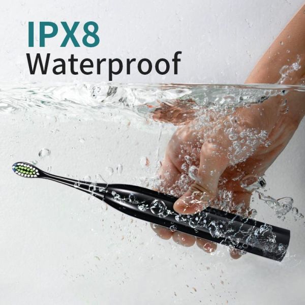 Black 3.7V Rechargeable Electric Toothbrush Automatic With Sonic Motor