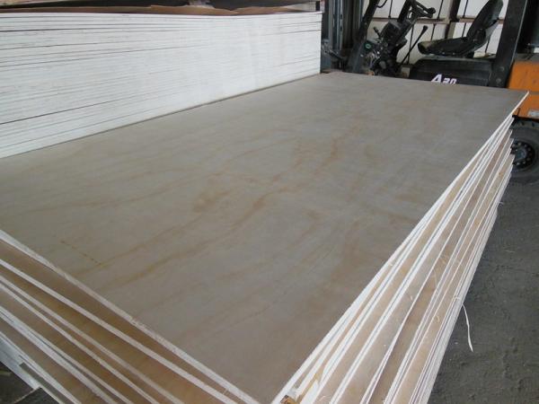 Packing grade plywood, plywood for packing use, cheap commercial plywood, poplar core plywood