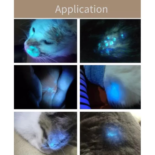 Medical Dermatology Woods Lamp Skin Analysis Veterinary 9000A