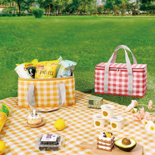 25L Aluminum Film Camping Lunch Bag Picnic Folding  Extra Large Insulated Cooler Bags