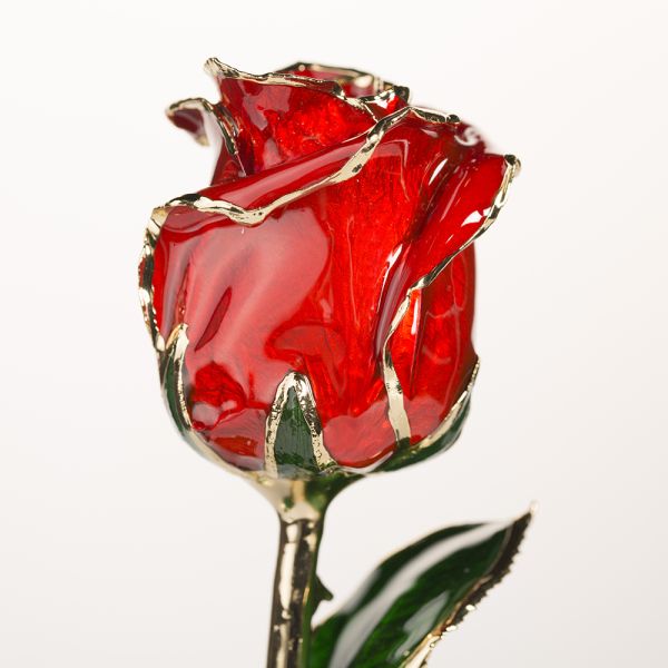 Gold Plated Rose Fresh Preserved Flower Gold Plated Natural Rose Everlasting Rose Flowers Wholesale Valentine Mother Day