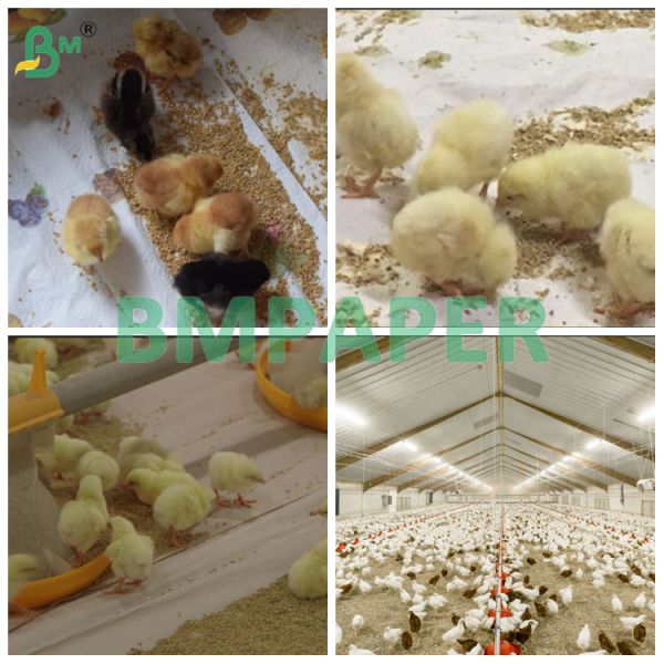 High Absorbency Poultry Farm Floor Paper White 74 Cms X 200 Mtr Roll