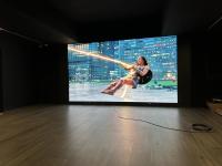 Densidad Display LED de tono fino de color completo Chip de tubo 320X160mm Tamaño del molde 427186 puntos/m2 Densidad