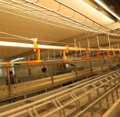 Manufacturer Wholesale Durable Automatic System Battery Metal Broiler Chicken Cage for Large Scale Poultry