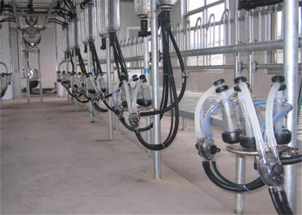 HL-G01 Dairy Farming 2x12 Goat Milking Parlor System with 6L Glass Milk Jar