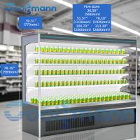 Refrigerador vegetal da vitrina, 4 de 1.98m camadas do diodo emissor de luz Front Chiller aberto da altura