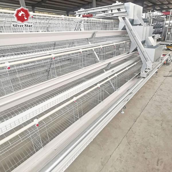 120 Chicken Capacity Battery Cage System In Poultry farm