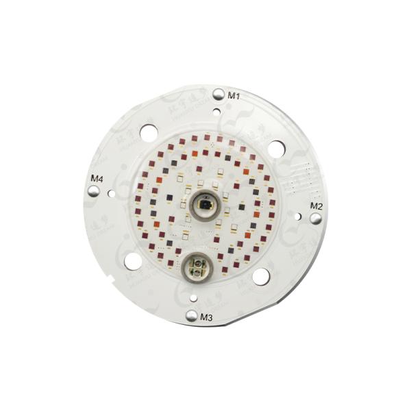 Puce LED COB CCT réglable 24-26V pour thérapie de beauté OEM