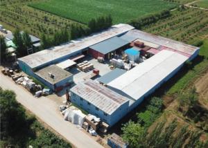 Renqiu Hongfei Wood Industry Co., Ltd