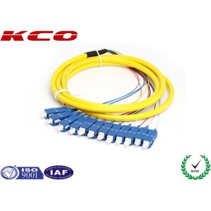 SC/UPC 12 fibers fanout fiber optic pigtail single mode mono mode optical pigtail 2.5m