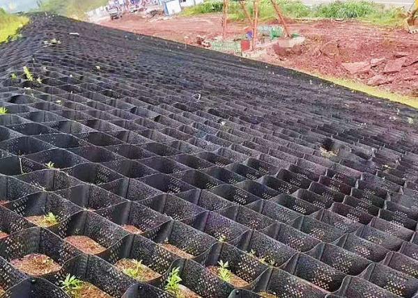 High Intensity 150mm Road Railway Retaining Wall Hdpe Geocell
