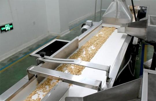 Big Roasted Peanuts In Shell , Roasted Seed Products HACCP Certification